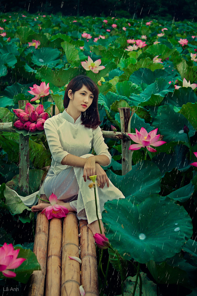 《清风亭》全集